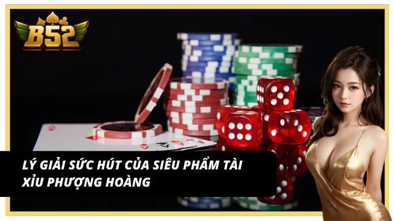 Lý do Sicbo phượng hoàng trở thành siêu phẩm hút